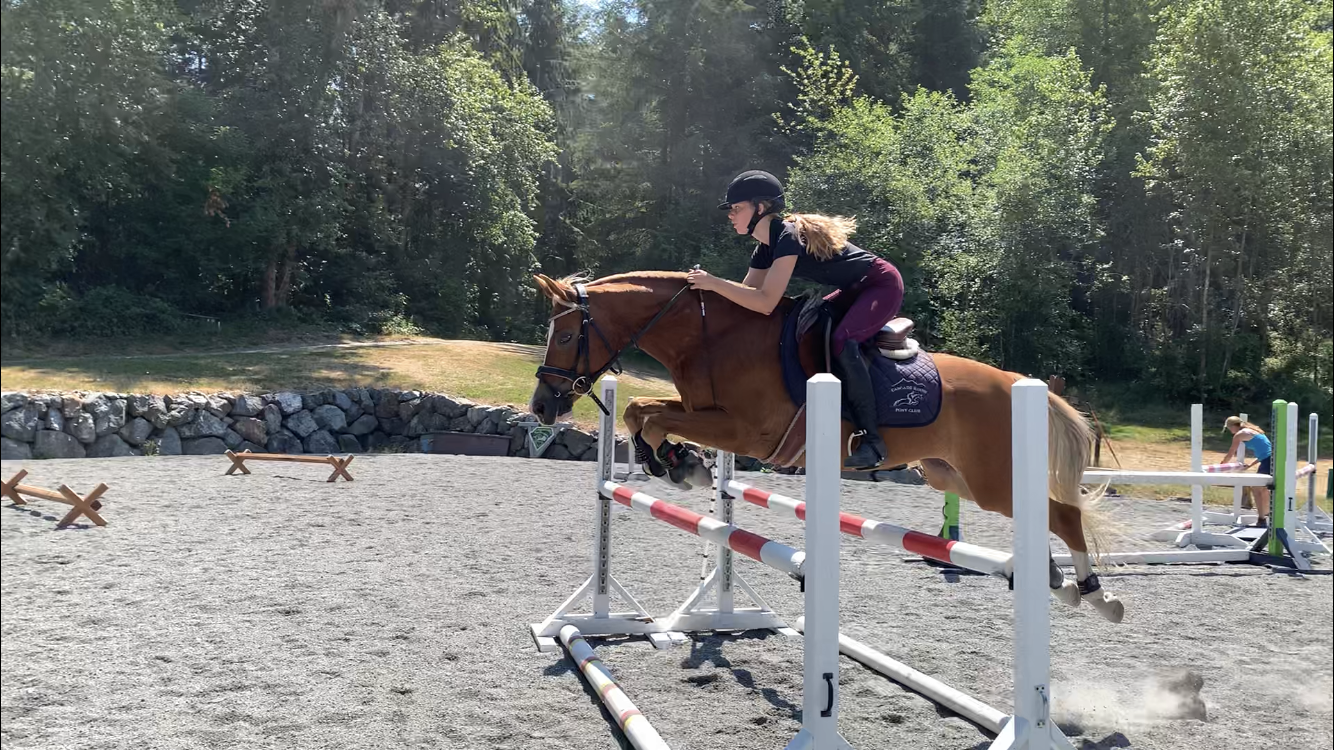 Equestrian training moment at Bradford Equestrian