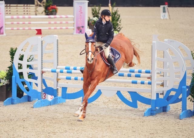 Rider and horse at Bradford Equestrian
