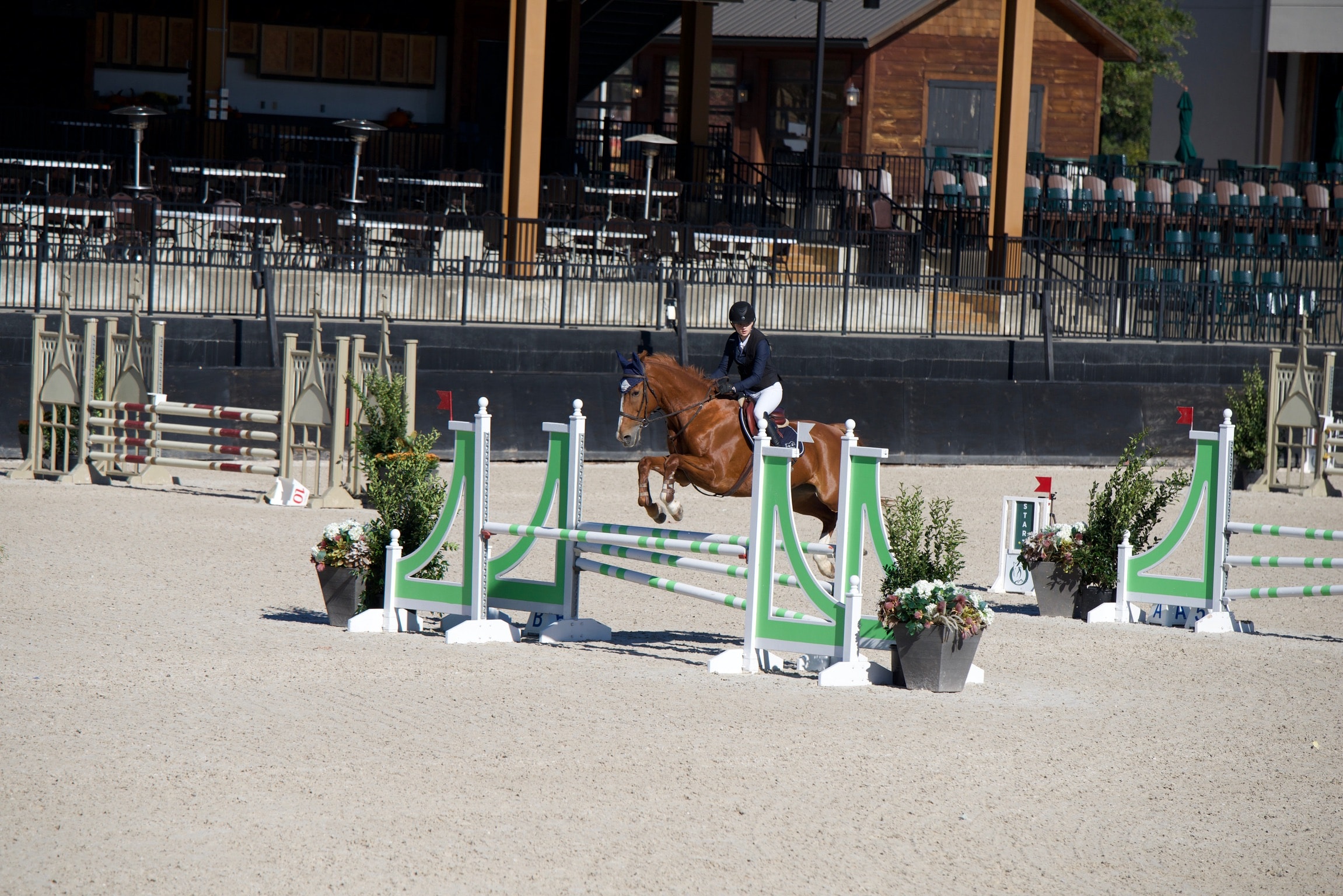 Training day at Bradford Equestrian