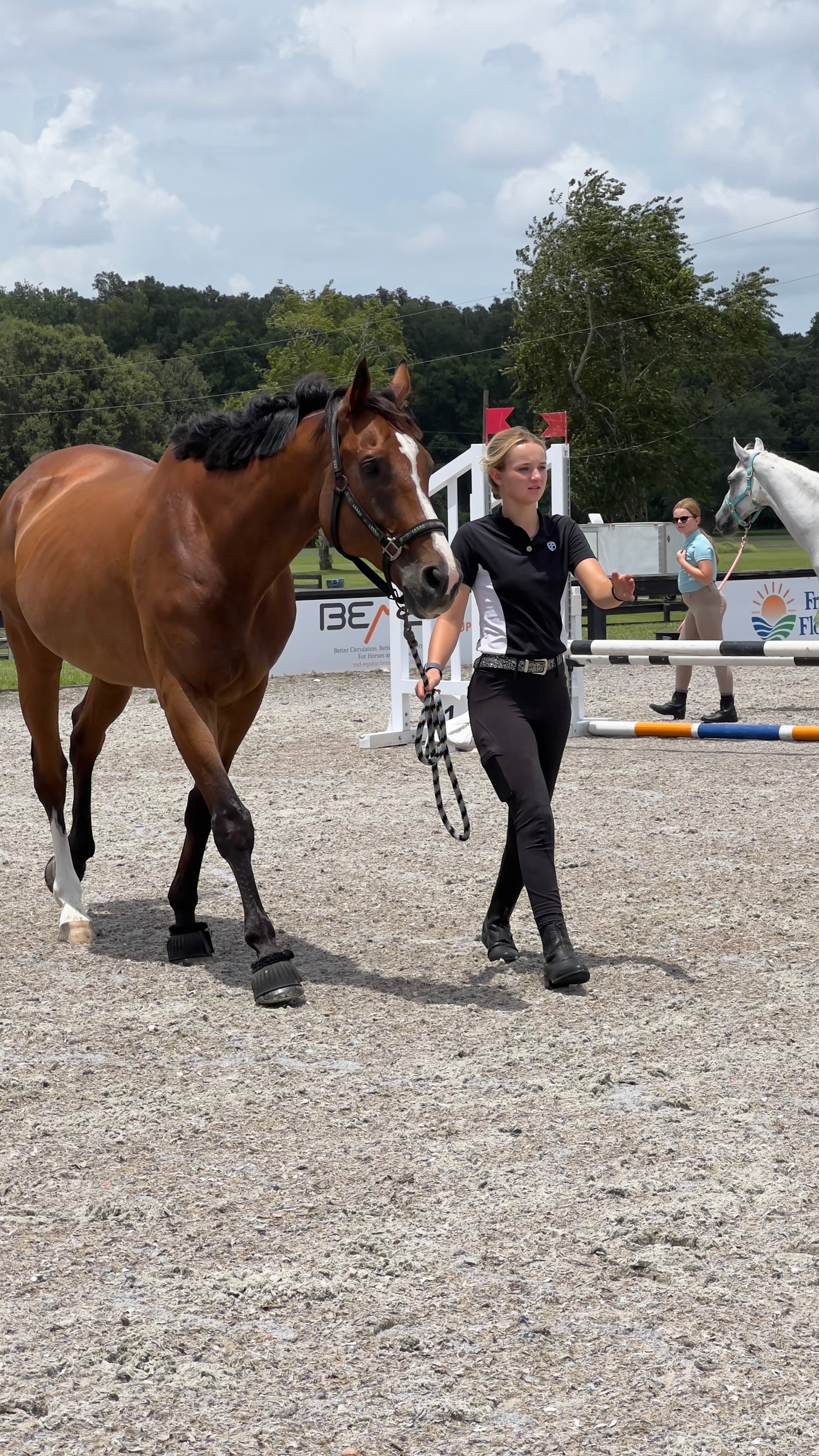 Trainer leading a horse in a riding arena